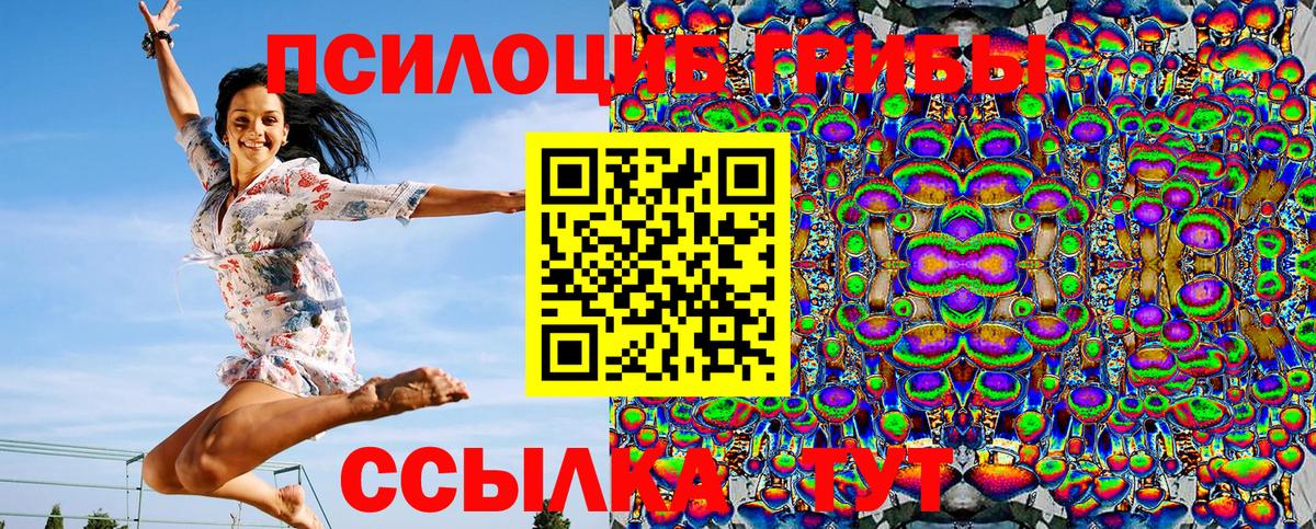 Псилоцибиновые грибы мицелий  Вход с VPN  Нефтекумск 